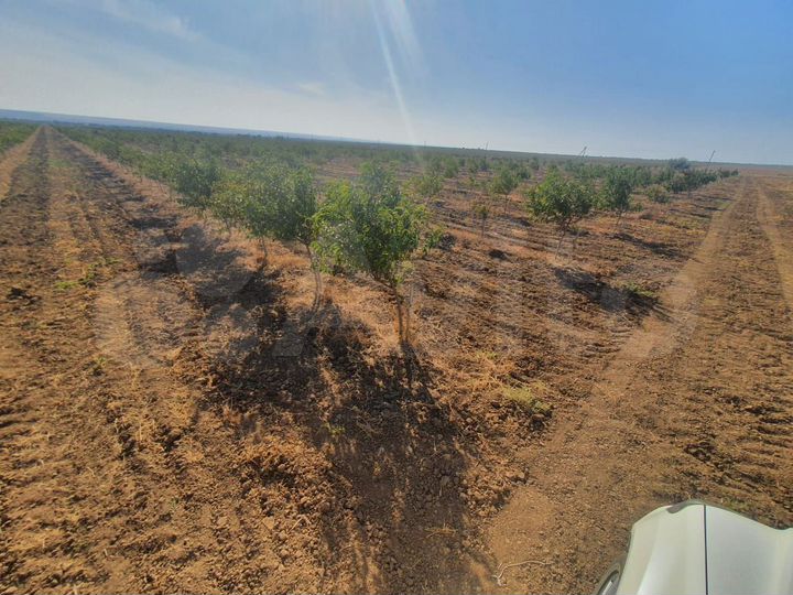 Участок 45 га (СНТ, ДНП)