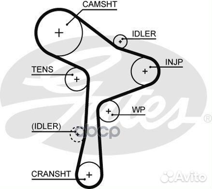 Ремень грм Gates 5678XS Gates