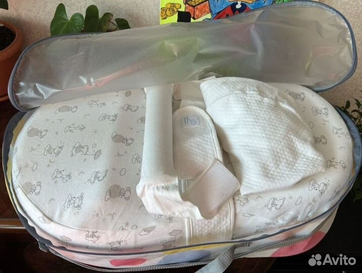 Кокон Зевушка