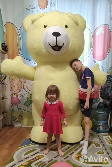 Поздравление от мишки Большой медведь аниматор