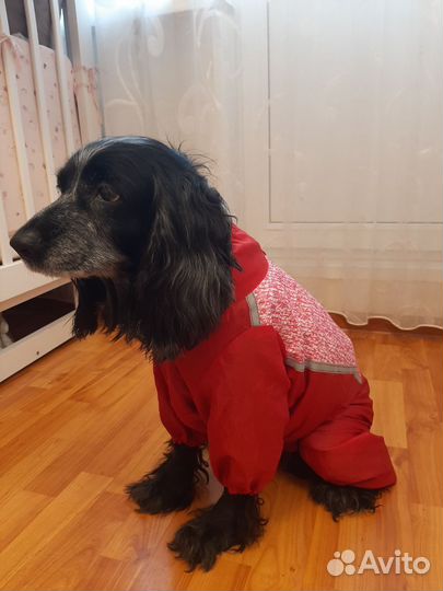 Комбинезон дождевик для средней собаки