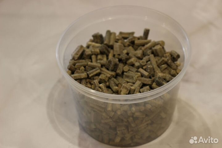 Стебли морских лилий