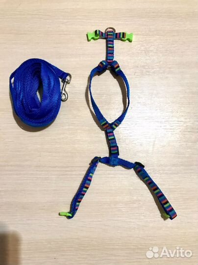 Шлейка для кошки анатомическая