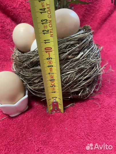 Пасхальный decor гнездо декор