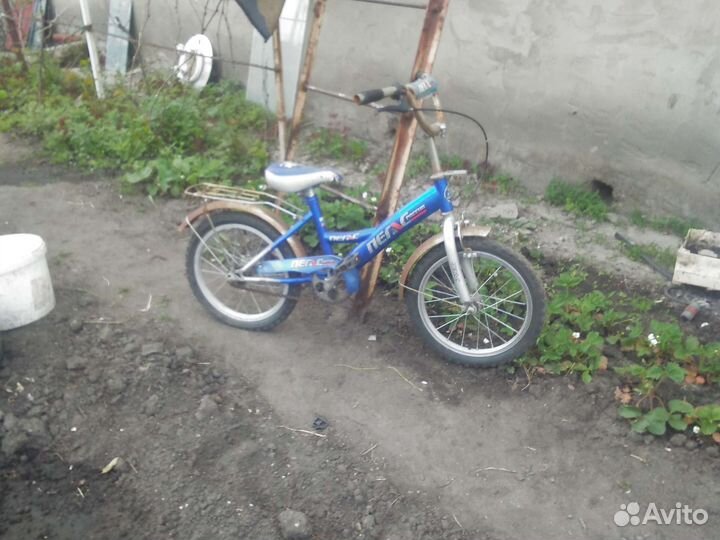 Велосипед пегас