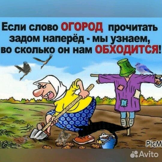 Перегной новоз