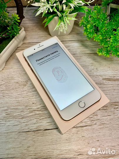 iPhone 8 Plus, 64 ГБ