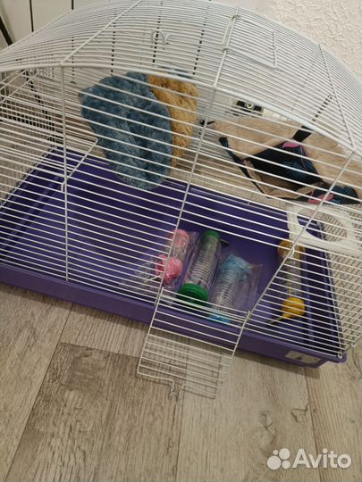 Клетка для грызунов и птиц