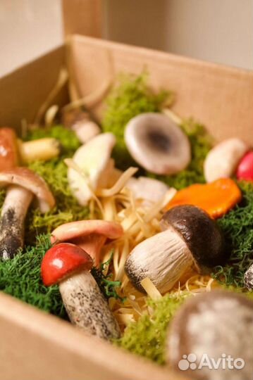 Набор грибов из полимерной глины