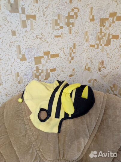 Одежда для собак мелких пород