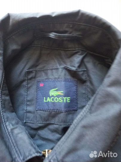 Харингтон lacoste