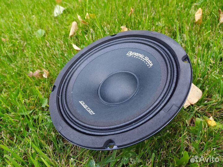 Эстрадный динамик Dynamic State custom CM-16.1v2