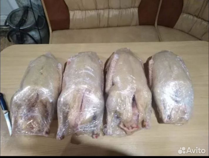 Мясо домашнего гуся