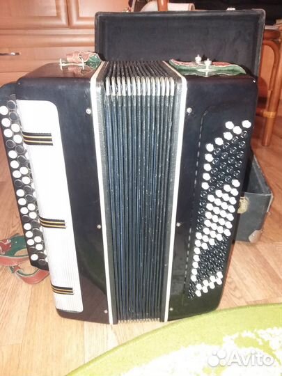 Баян вологодский