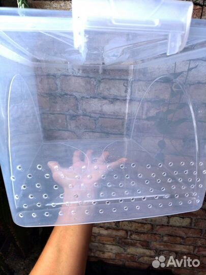 Контейнер для рептилий