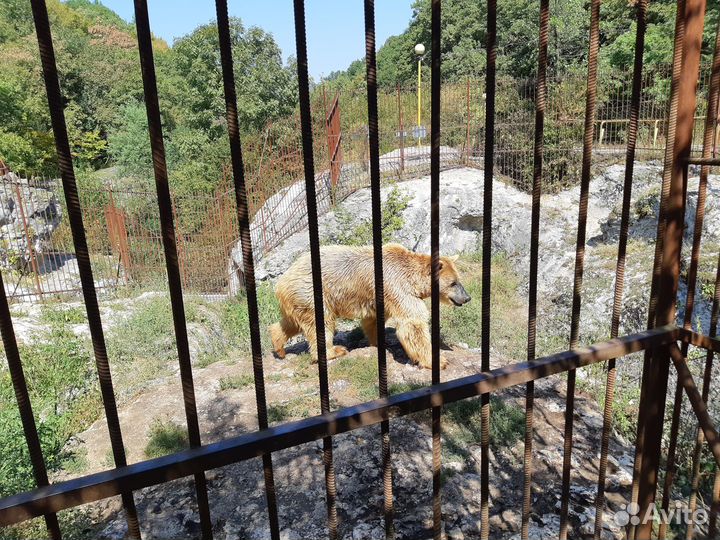 Экскурсии Лаго Наки