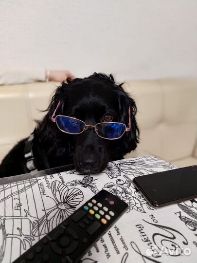 Вязка