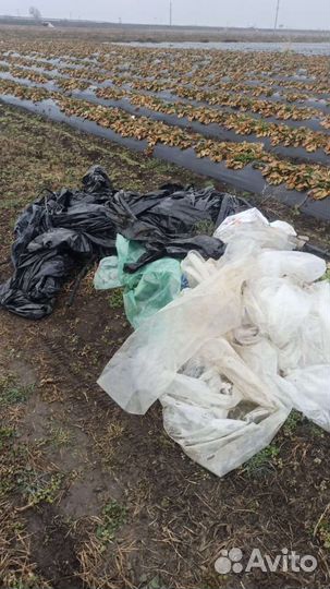 Закупаем макулатуру, тепл. плёнку, мульчу черную
