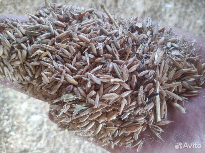 Овсяные отходы насыпью