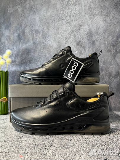 Кроссовки мужские Ecco