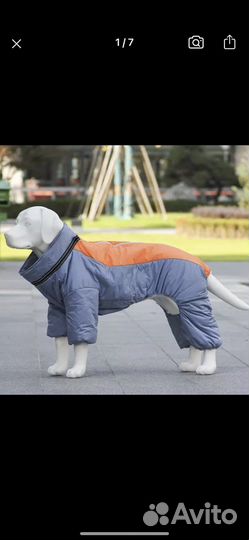 Костюм для крупной собаки