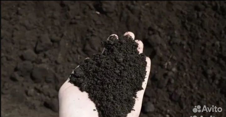 Земля, Черноземом плодородный