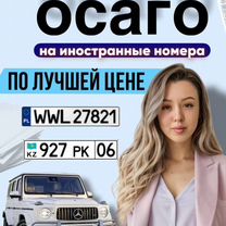 ОСАГО на иностранные номера, Мелитополь