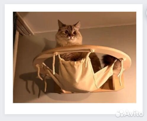 Настенные аксессуары для кошек (дерево)