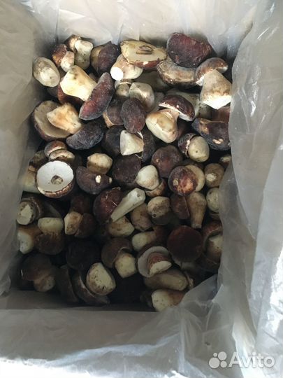 Грибы белые заморозка