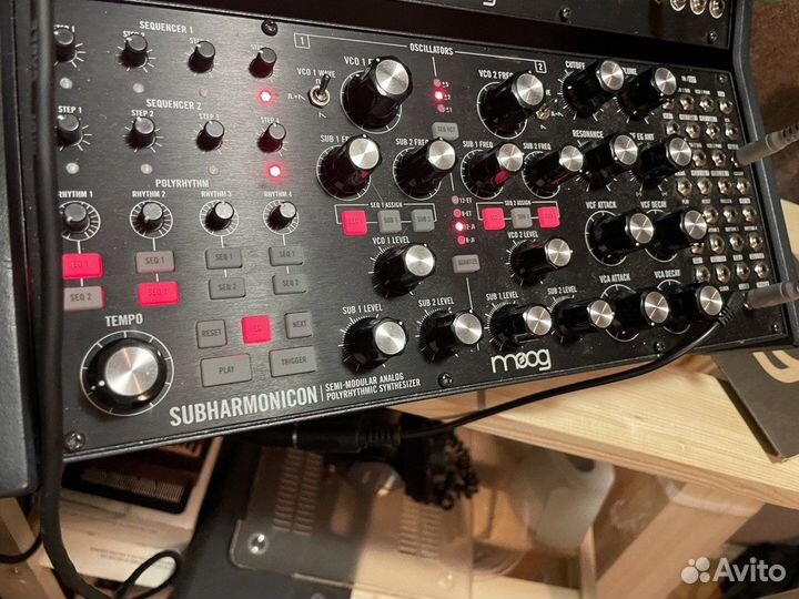 Moog Subharmonicon