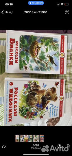 Айболит, королевство зеркал, осеева книги