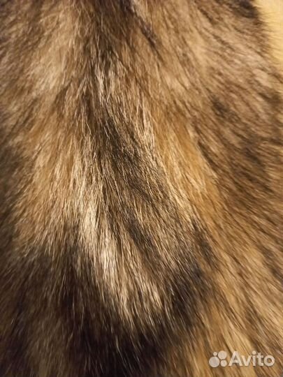 Шкура волка