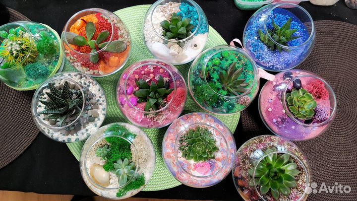Мини-флорариумы с суккулентами