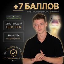 Репетитор по информатике, Калининград