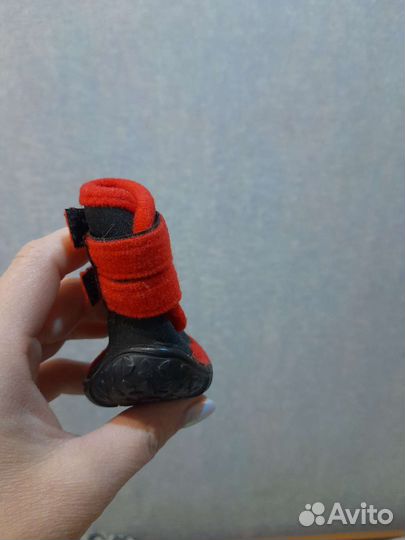 Обувь для собак