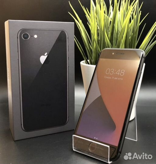 iPhone 8, 64 ГБ
