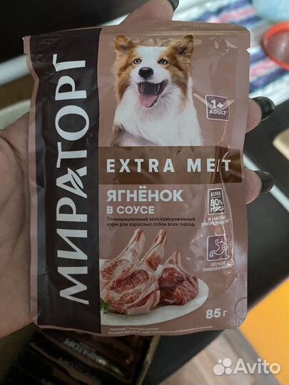 Корм для собак