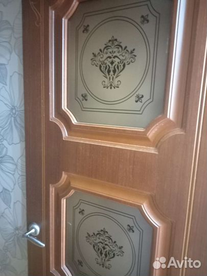 Межкомнатные двери и входная металлическая дверь