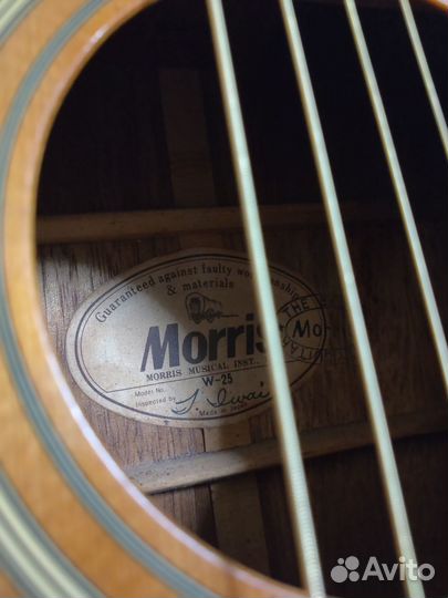 Акустическая гитара morris w-25 japan
