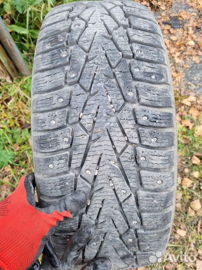 Nokian Tyres Nordman 7 205/50 R17