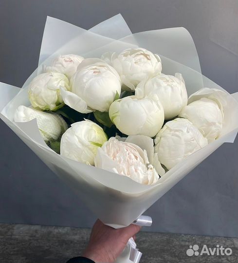 Пионы Цветы Букеты