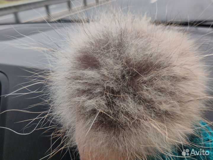 Новая шапка Finn Flare