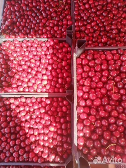 Доставка до двери фруктов, овощей, орехов, ягод