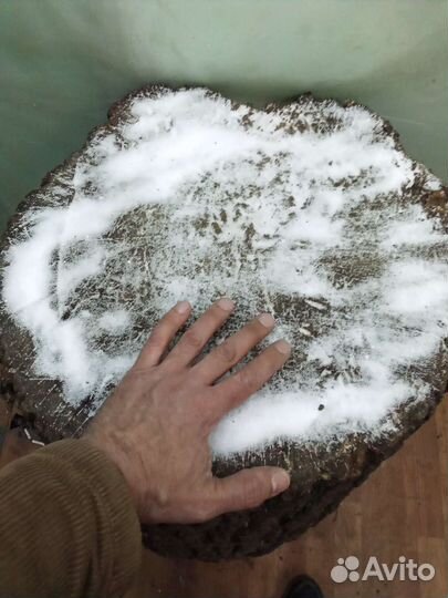 Колода для рубки мяса