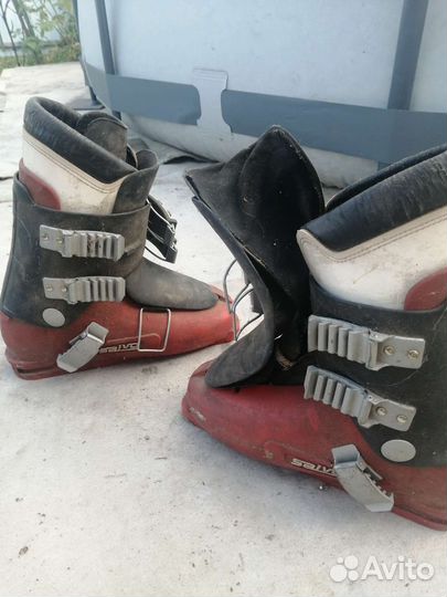 Лыжи горные