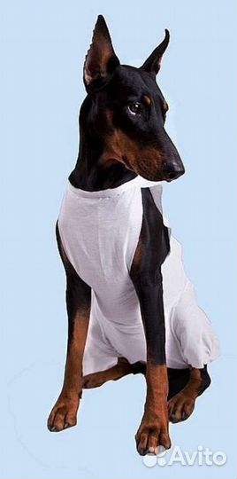 Послеоперационная попона