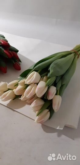 Тюльпаны к 8 марта 2024