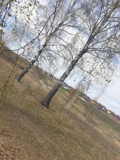 Участок 6 сот. (СНТ, ДНП)