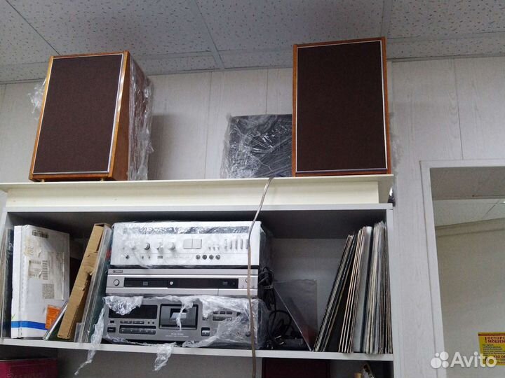 Акустика, 10 мас-1, 25ас-309, Zenith Allegro