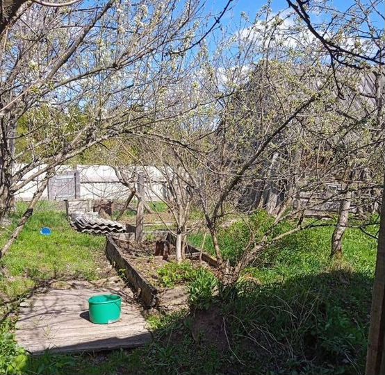 Дом 53,5 м² на участке 15,3 сот.